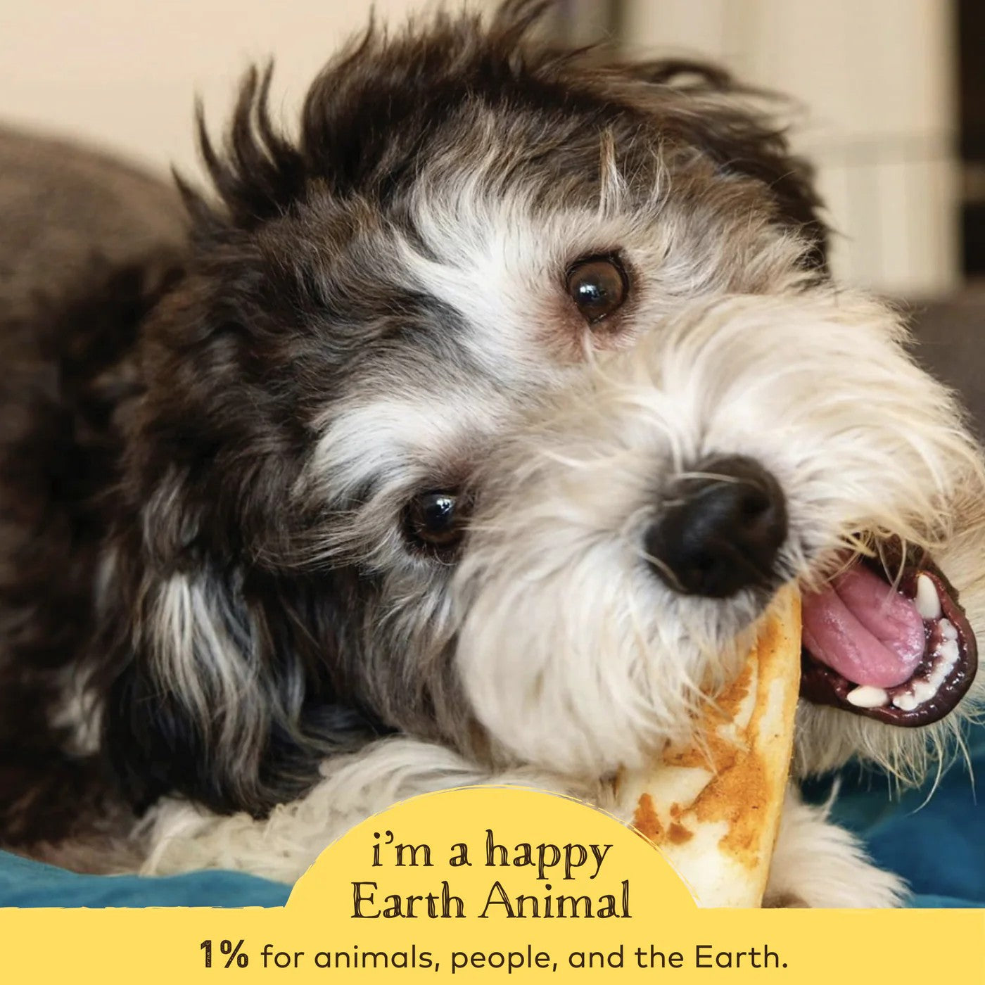 Earth Animal No Hide Peanut Butter Chews