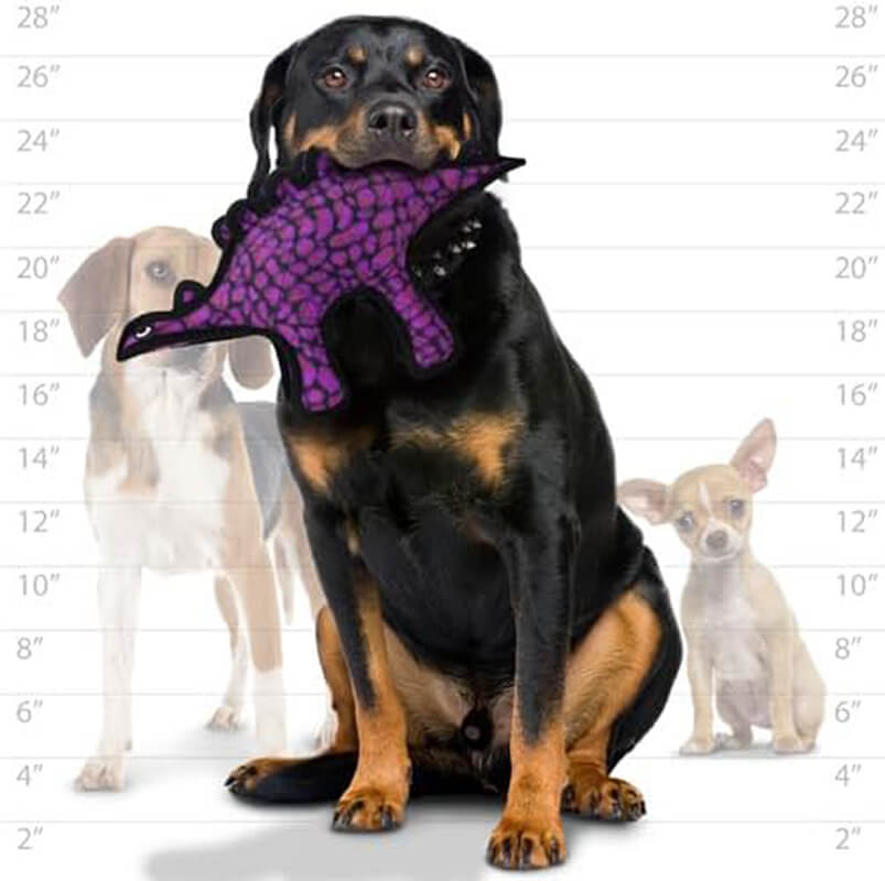 Tuffy® Dinosaur Stegosaurus
