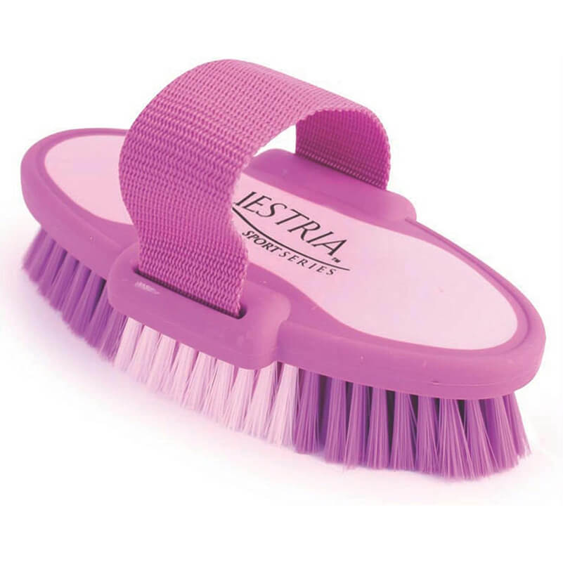 Equestria Oval Body Brush