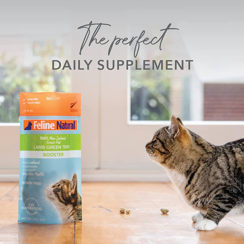 Feline Natural Freeze Dried Lamb Green Tripe Booster