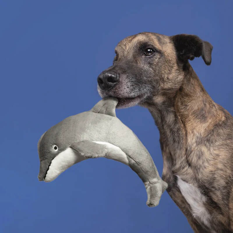 Fluff & Tuff Danny Dolphin