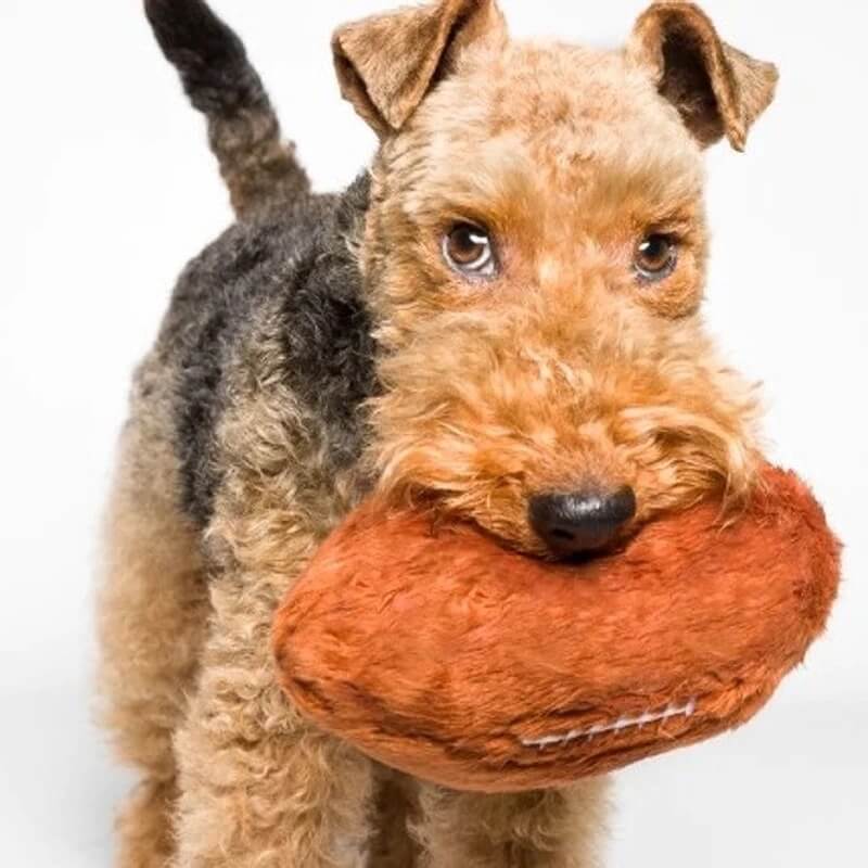 Fluff & Tuff Football