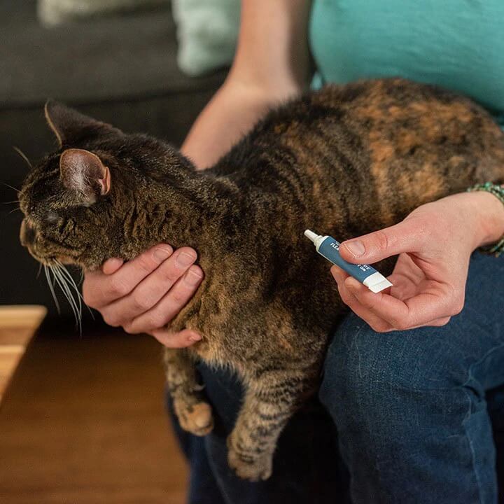 Wondercide Flea & Tick Spot on for Dogs