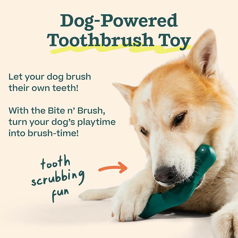 Woof Bite N' Brush