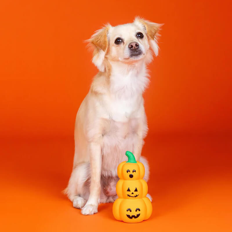 Fringe Studio Go Big or Gourd Home Squeaker Toy