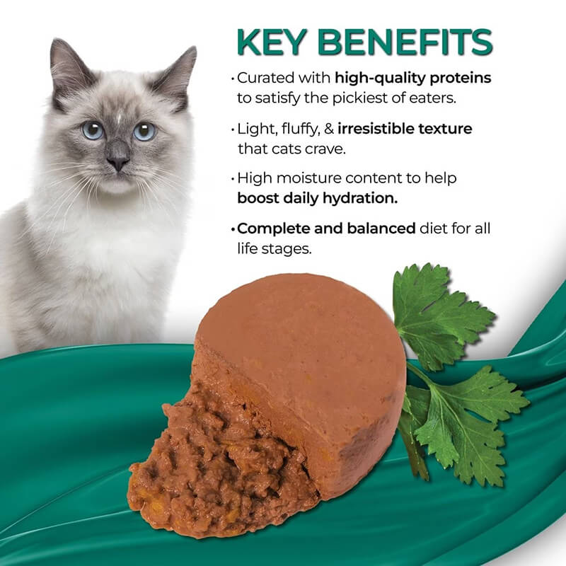 Fussie Cat Fine Dining Mousse Tuna & Pumpkin