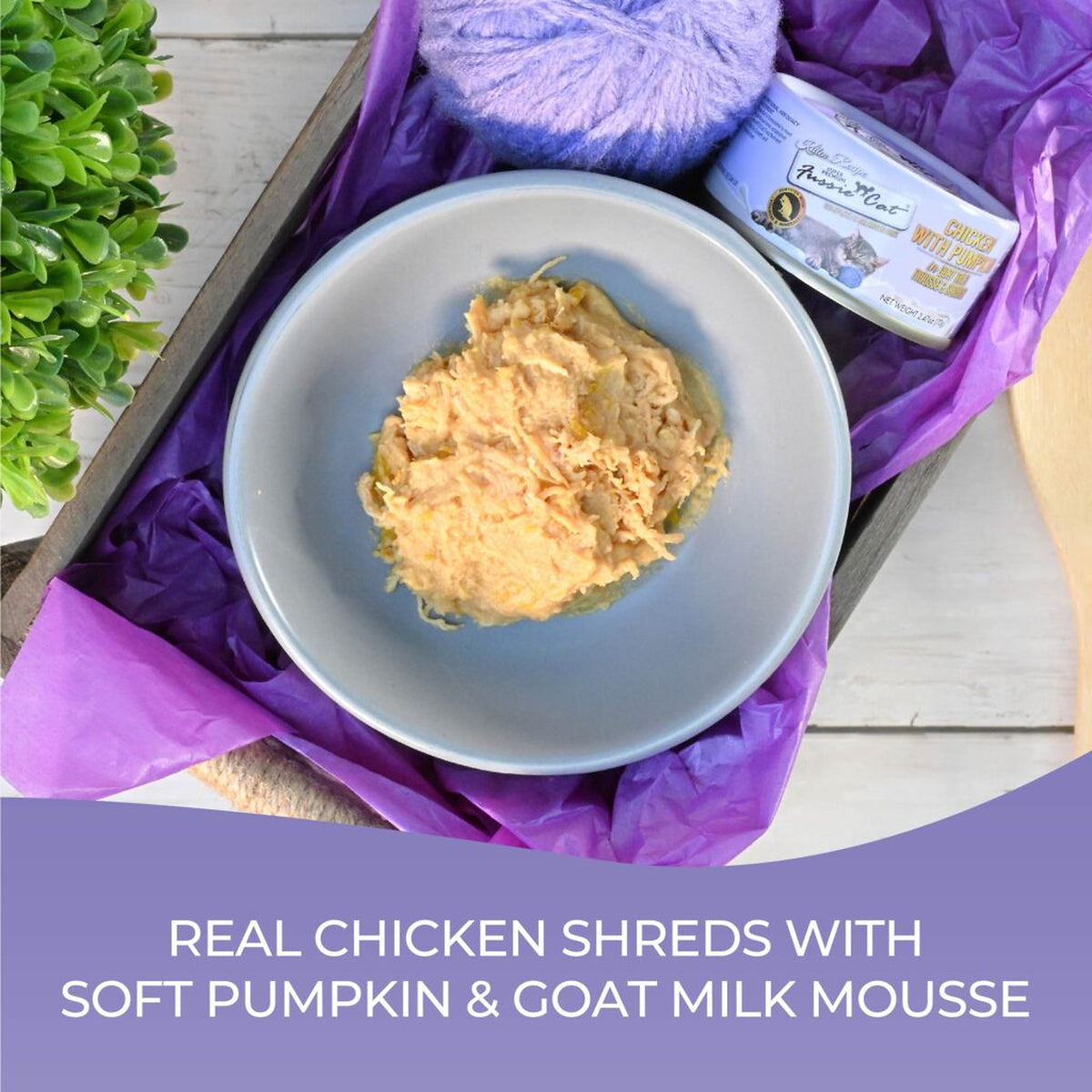 Fussie Cat Kitten Chicken & Pumpkin in Goat Milk