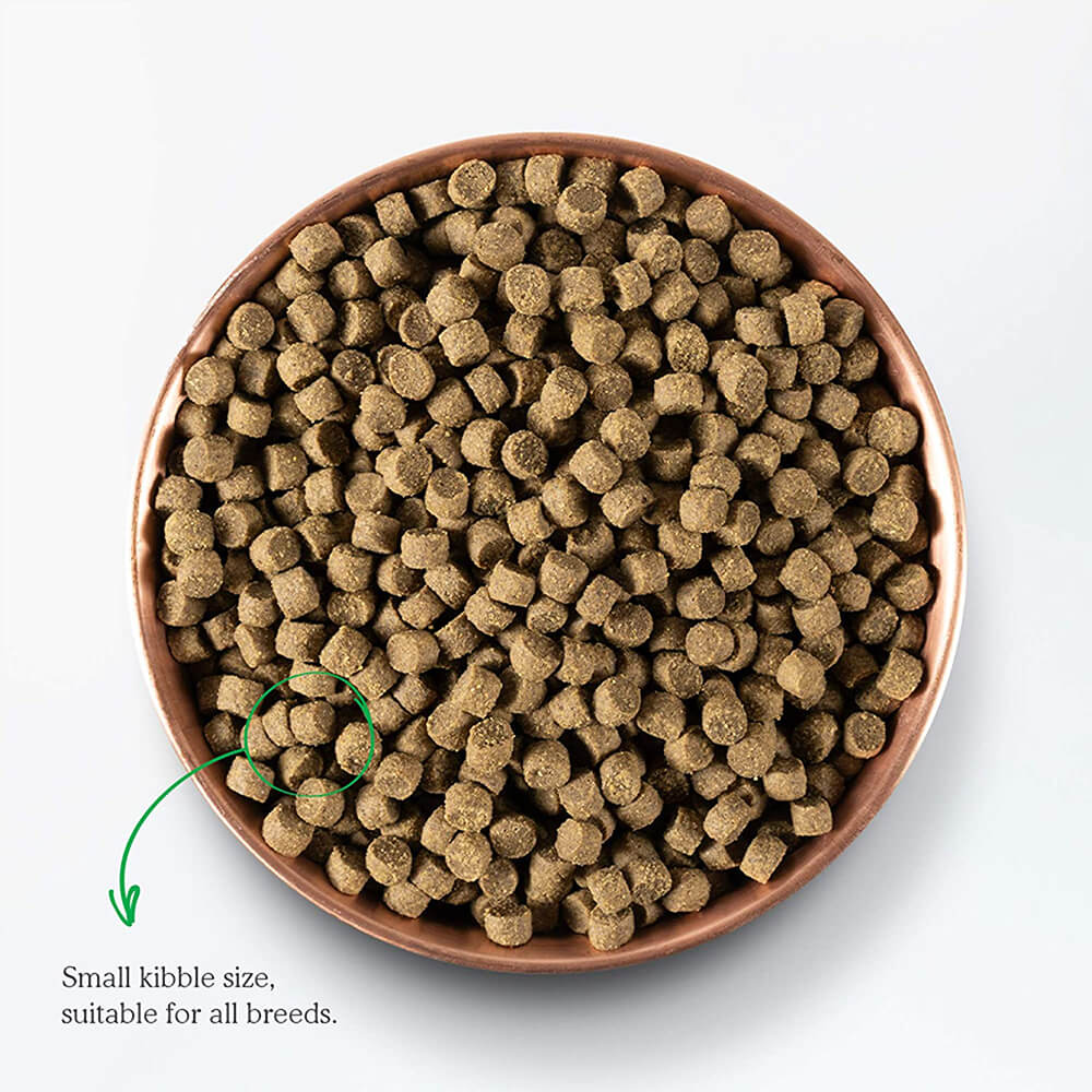 Open Farm Grain-Free Senior