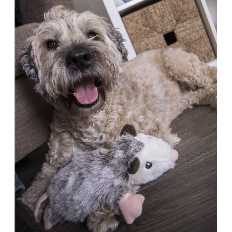 GoDog Flatz Opossum Flattie
