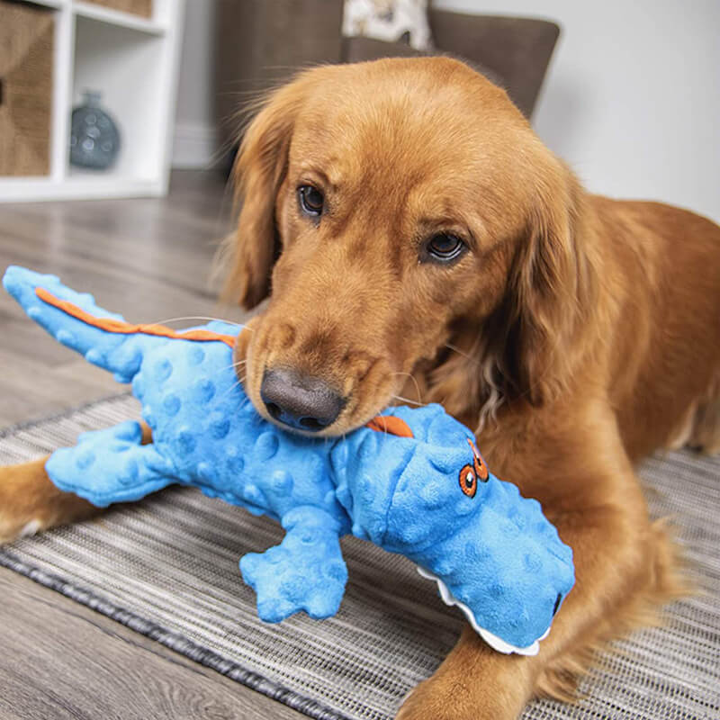 GoDog Gator