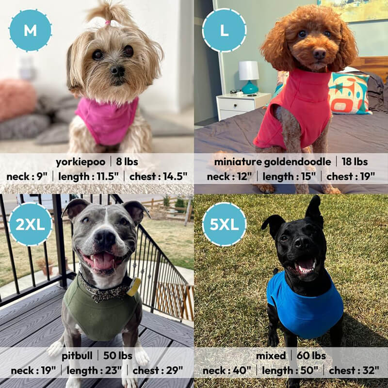 Gooby Microfiber Stretch Fleece