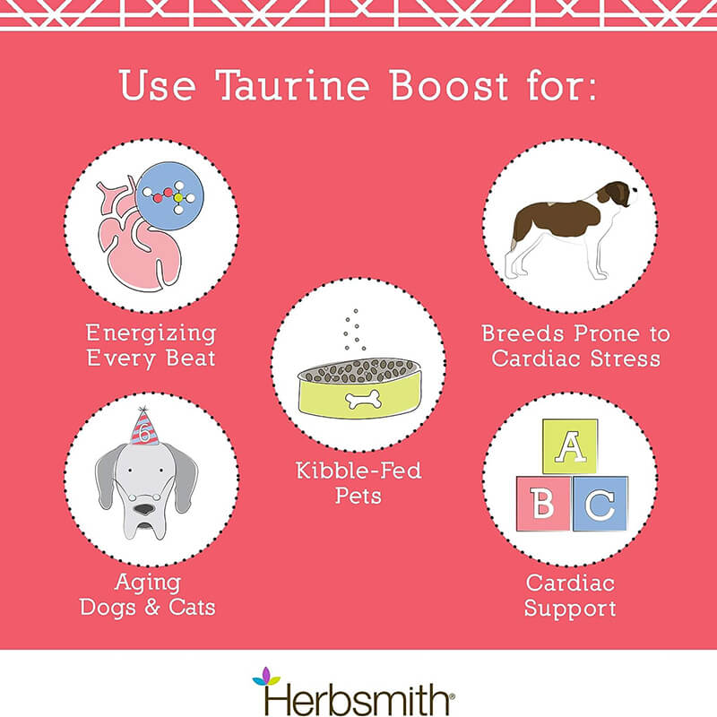 Herbsmith Taurine Boost Powder for Dogs and Cats