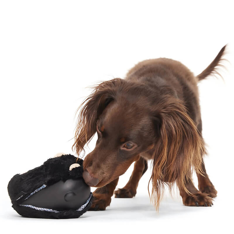 BARK Super Chewer Black Bear