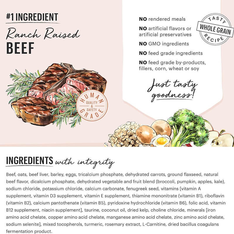 Honest Kitchen Clusters Whole-Grain Beef & Oats
