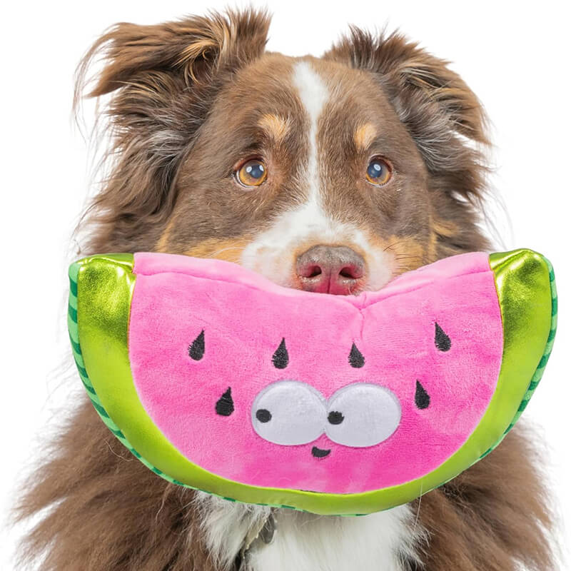 Huxley & Kent Fetchies Walter-Melon