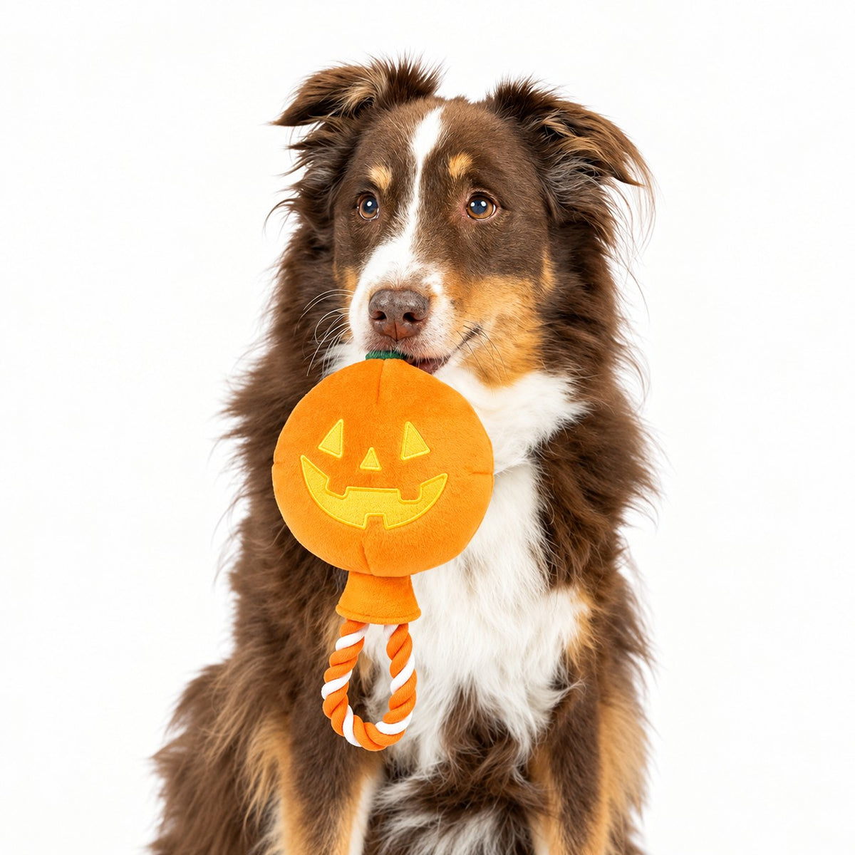 Huxley & Kent Power Plush Jack O Lantern Safety Pop