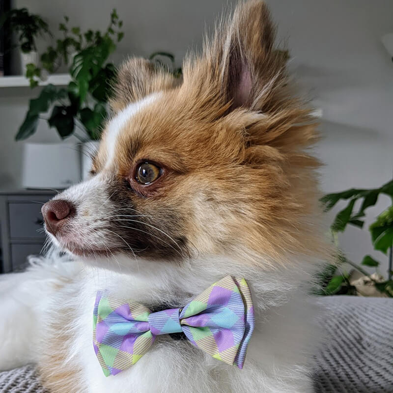 Huxley & Kent Lavender Lemon Check Bow Tie