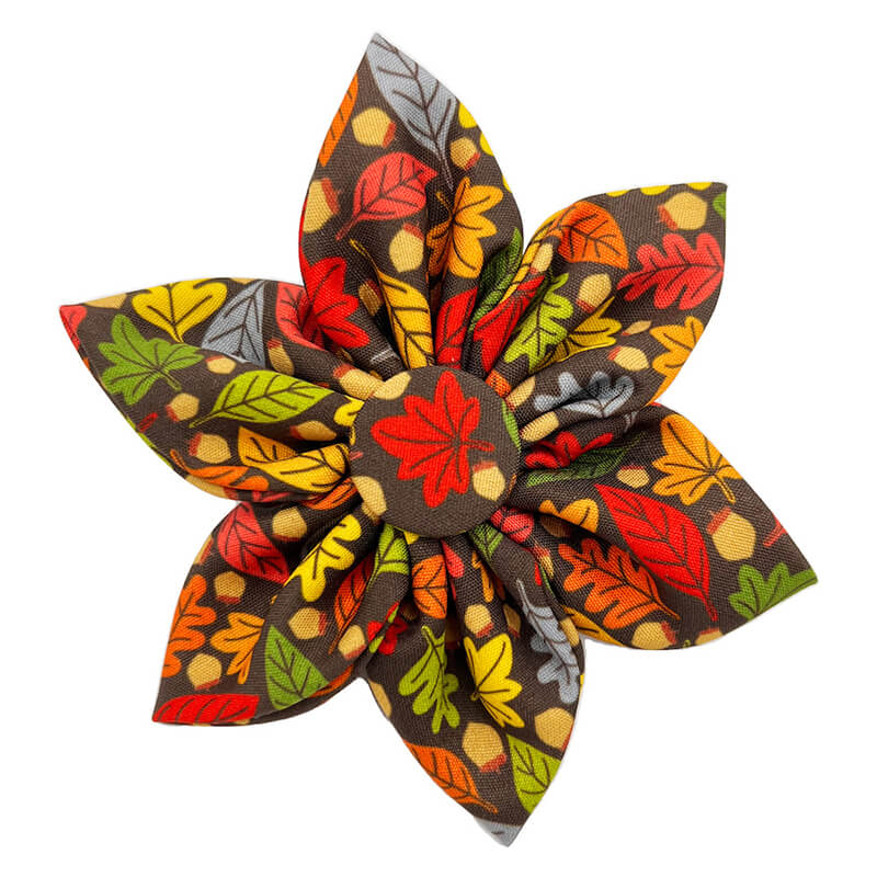 Huxley & Kent Leaves & Nuts Pinwheel