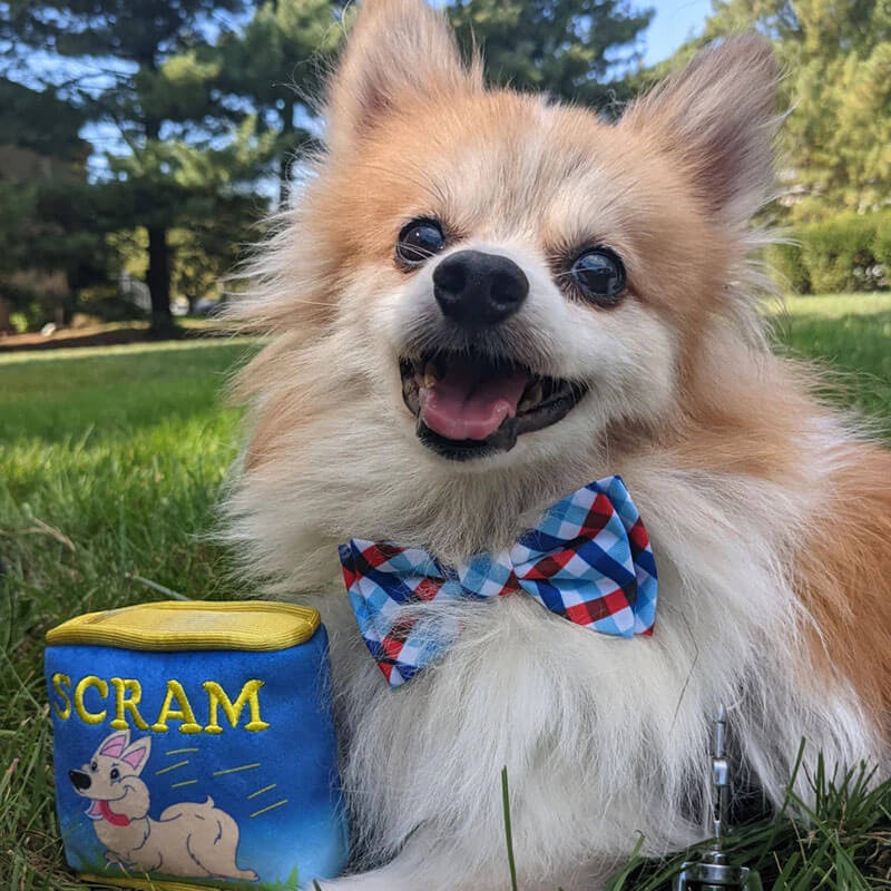 Huxley & Kent Picnic Check Bow Tie