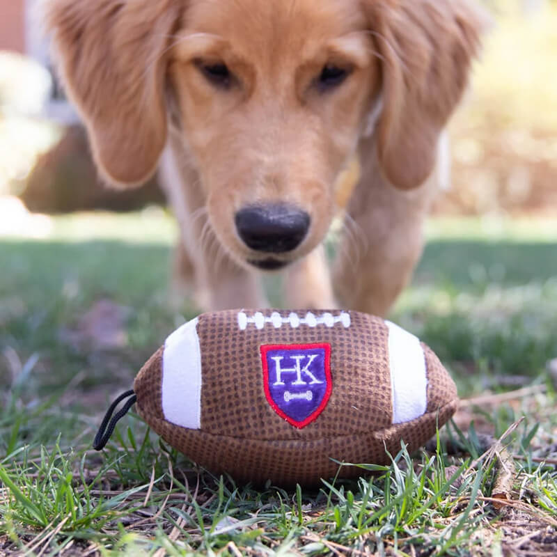 Huxley & Kent Power Plush Football