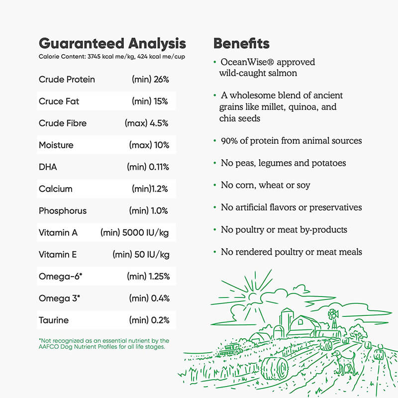 Open Farm Wild-Caught Salmon & Ancient Grains