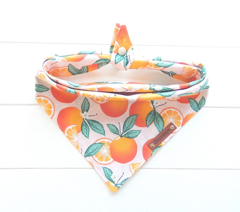 Bibby Bubby Bandana - Orange Grove