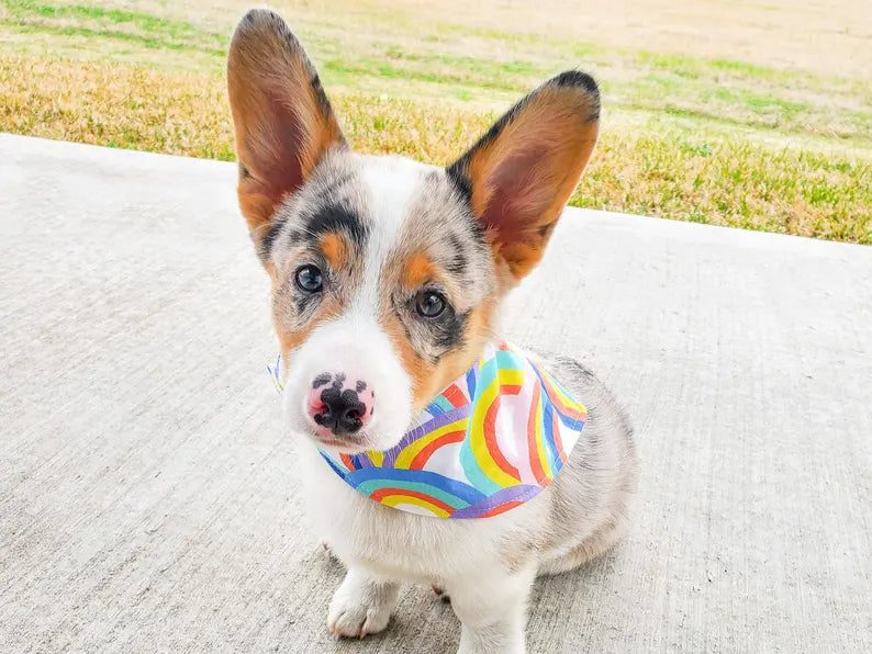 Bibby Bubby Bandana - Pride