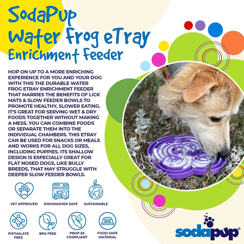 Sodapup Frog Design Enrichment Tray