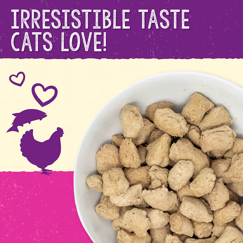 Stella & Chewy's Feline Dinner Morsels Yummy Lickin' Salmon & Chicken