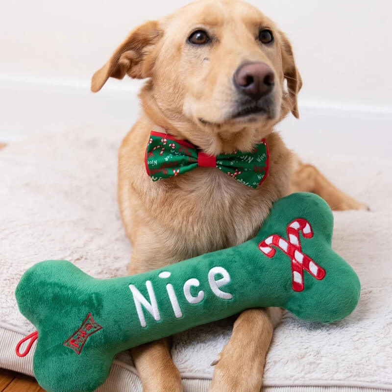 Huxley & Kent Power Plush Naughty Nice Bone