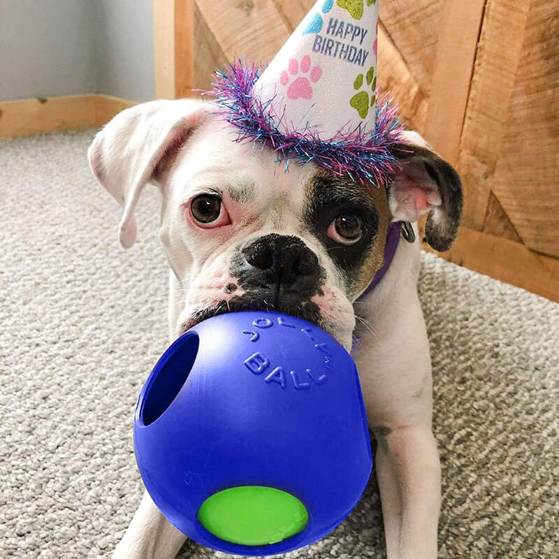 Jolly Pets Teaser Ball