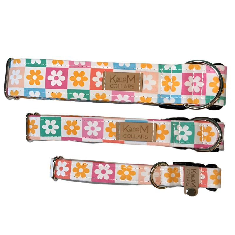 K & M Collars Summer Checkerboard Flowers