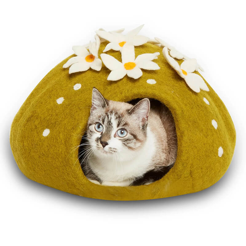 Karma Cat Cactus Wool Pet Cave