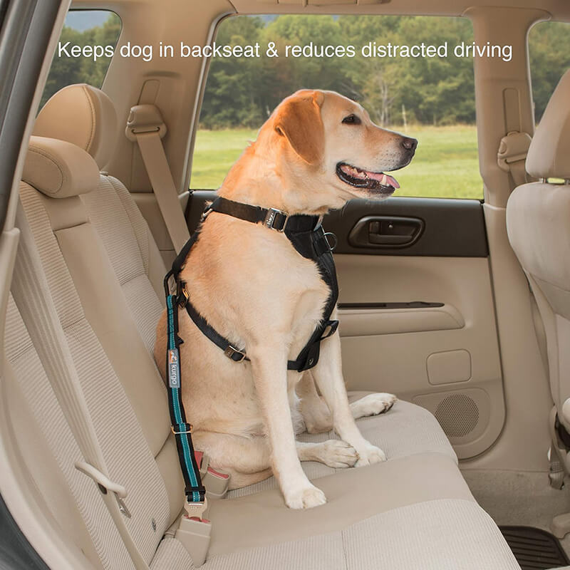 Kurgo Bungee Seat Belt Tether
