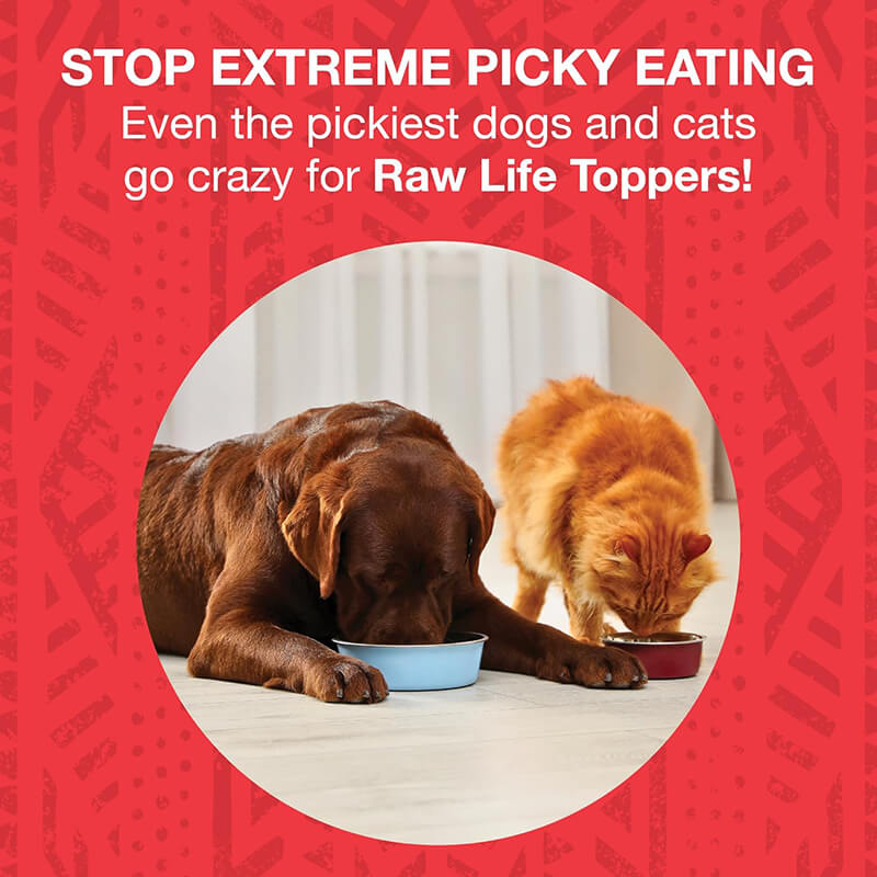 Koha Freeze-Dried Raw Beef Topper