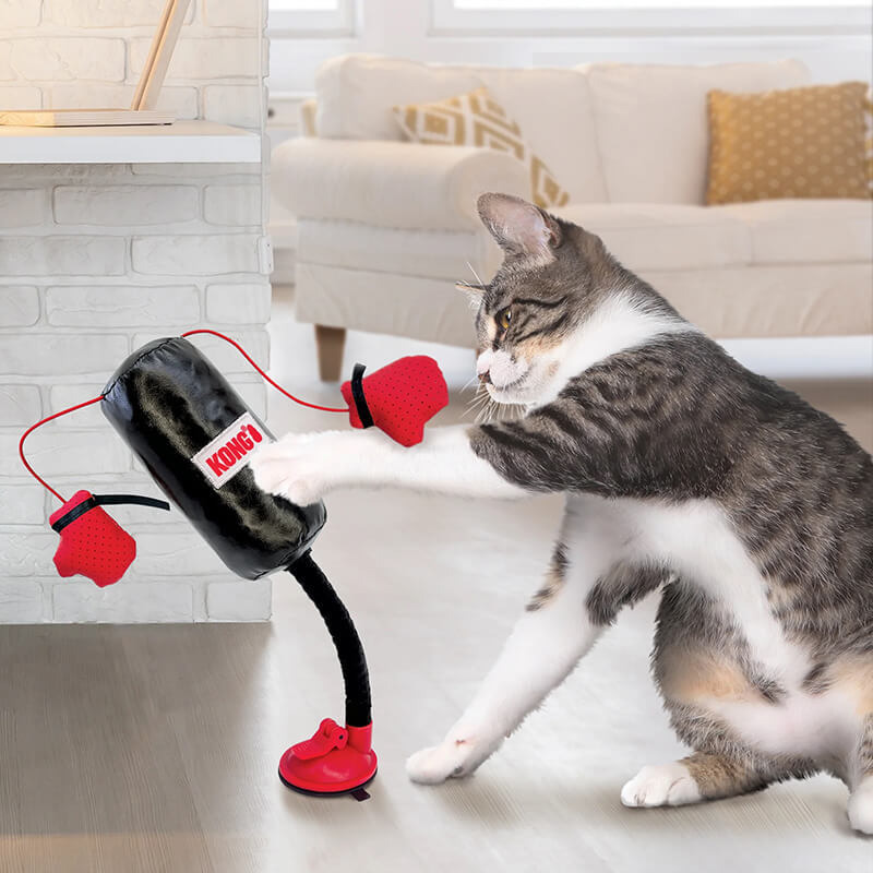 Kong Connects Cat Punching Bag