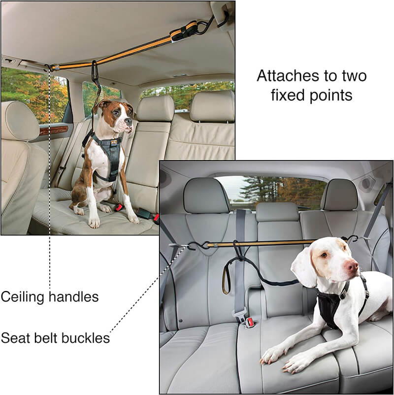 Kurgo Auto Zip Line Leash