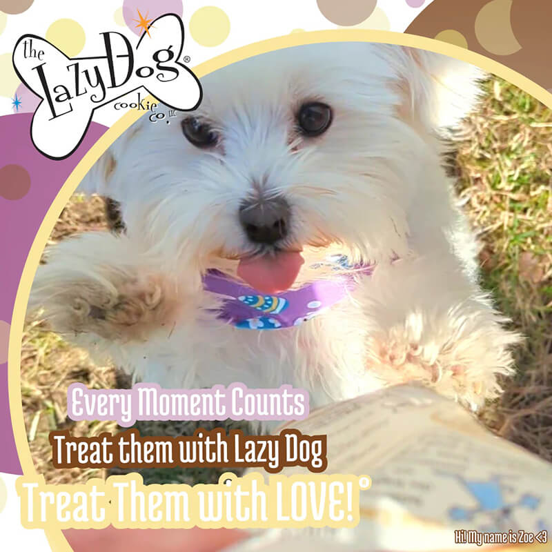 Lazy Dog Mutt Mallows Banana Buddies