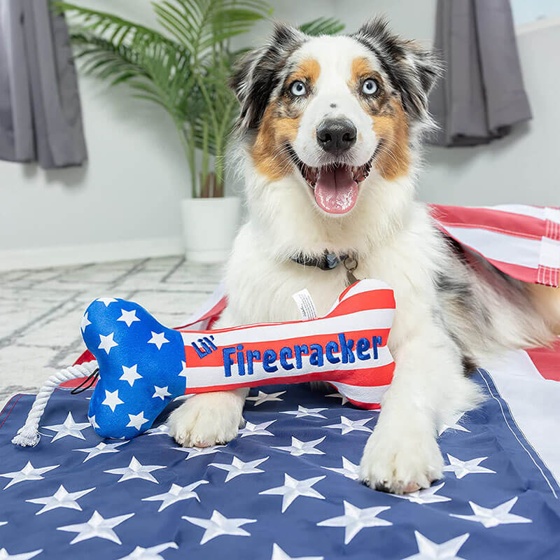 Lulubelles Power Plush Lil' Firecracker Bone