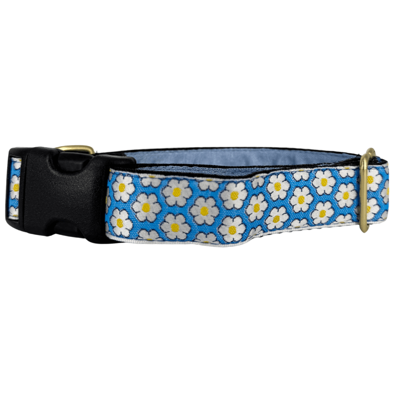 Mackenzie Collar Dainty Daisy Blue