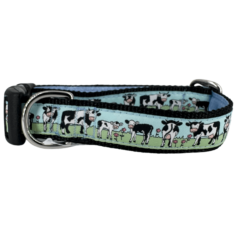 Mackenzie Collar Moo!