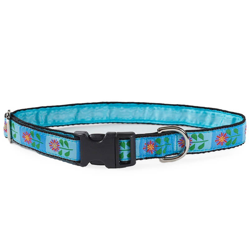 Mackenzie Collar Stand Tall Daisy