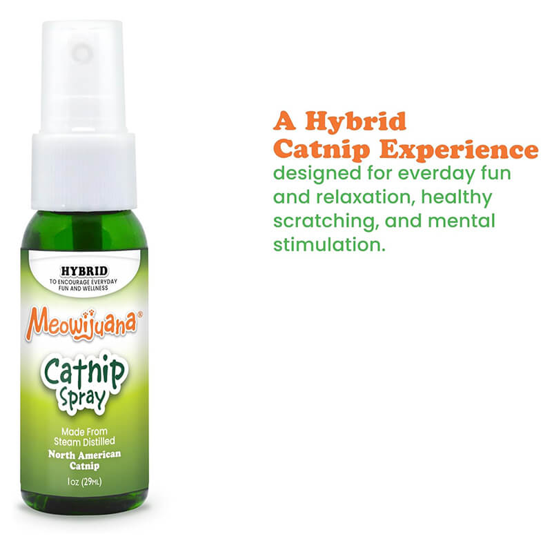 Meowijuana Catnip Spray
