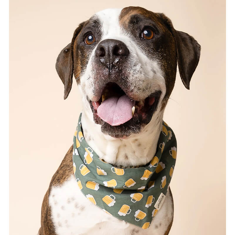 The Paws Bandana - Brew