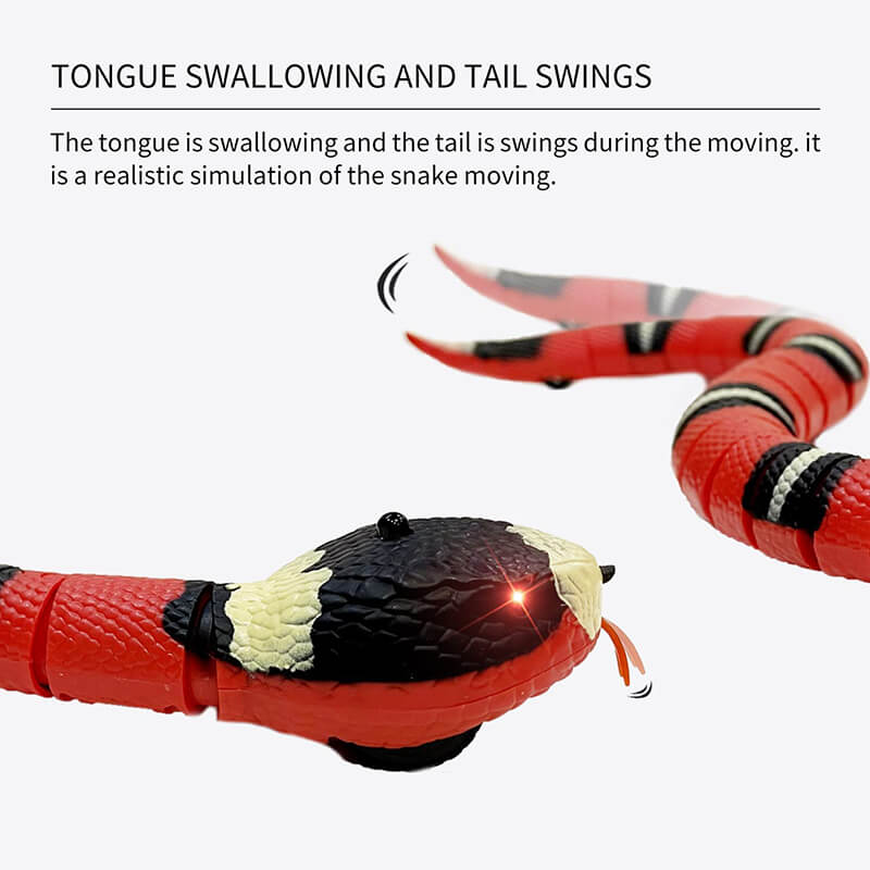 Spot Wigglin' Snake Electronic Cat Toy