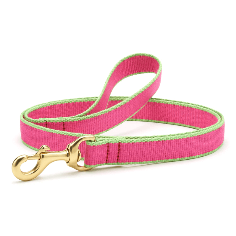Up Country Color Market Leash