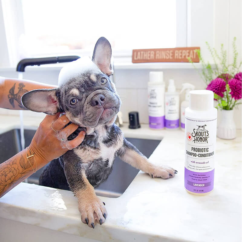 Skout's Honor Probiotic Lavender Shampoo + Conditioner