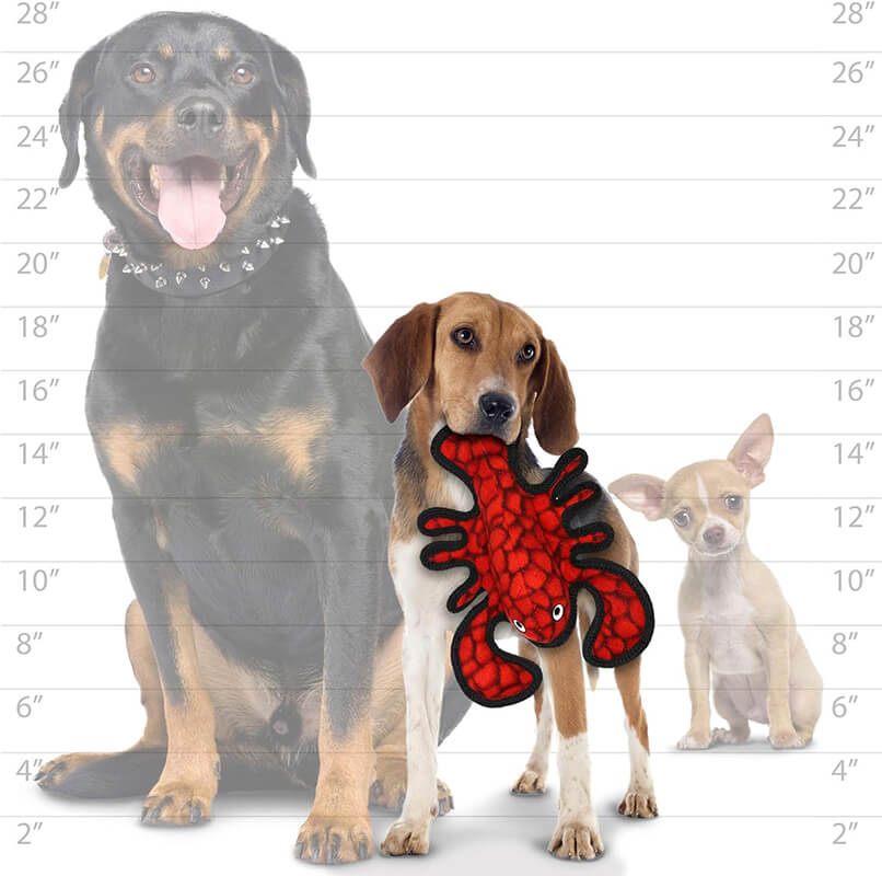 Tuffy® Ocean Lobster JR