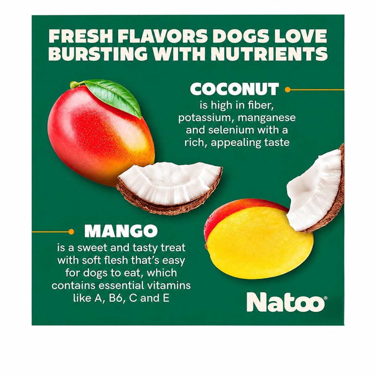 Natoo Crunchy Biscuits Coconut & Mango Small Bites