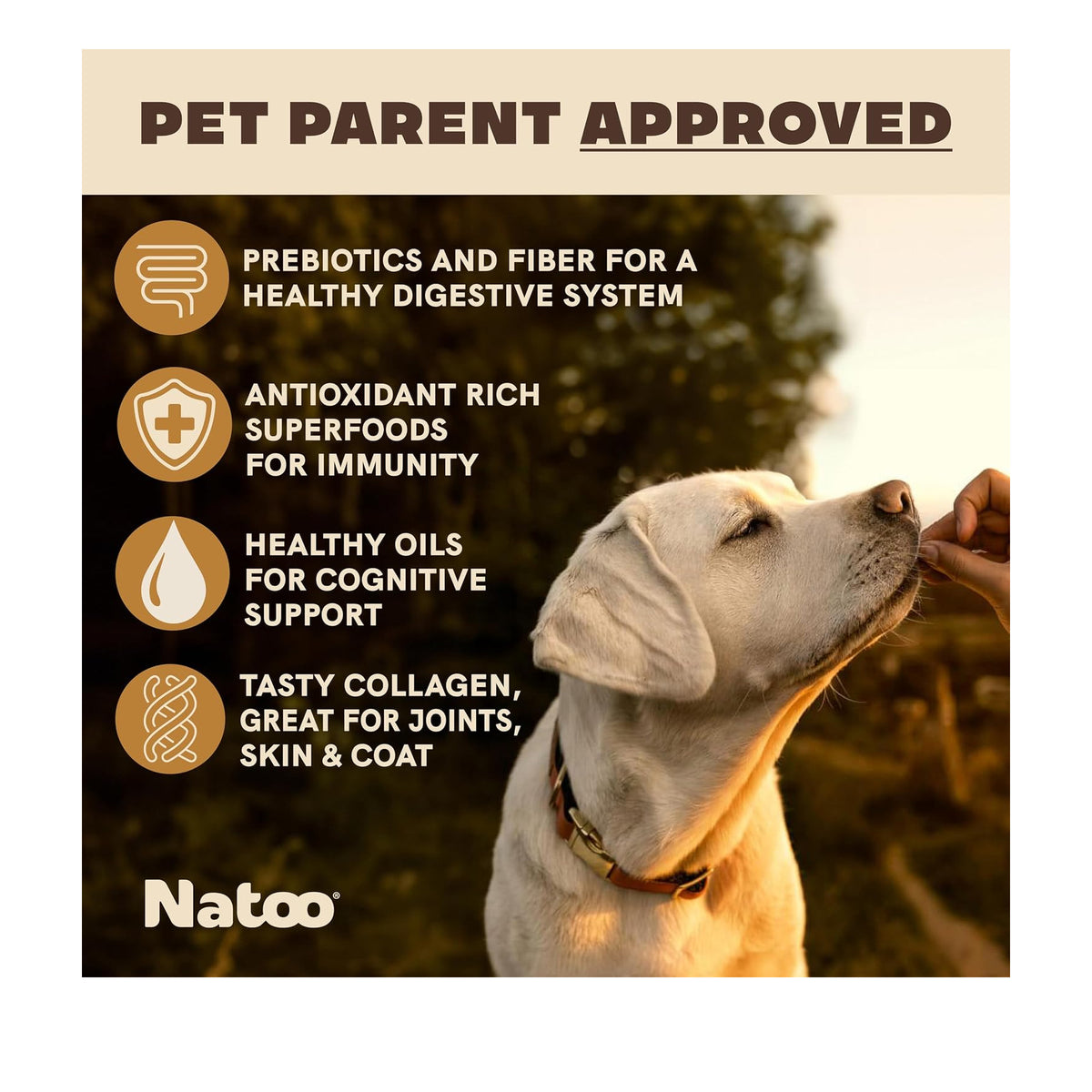 Natoo Crunchy Biscuits Peanut Butter
